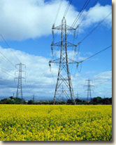 electricity pylons