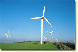 wind farm